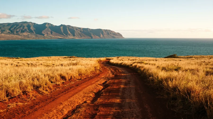 Illustration of a red dirt road running through dry grass toward the ocean and a distant ridgeline.
